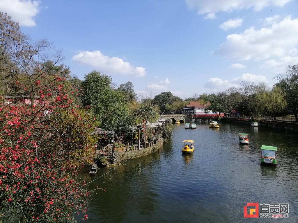（转载）自贡旅游別样美 就地过年年味足 全市13个A级旅游景区接待游客24.56万人次