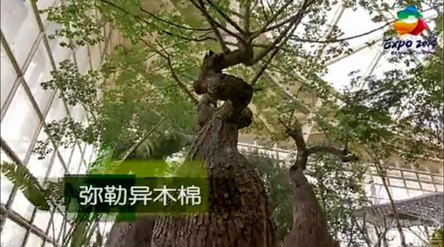 初春，去植物馆领略亿万年来的智慧