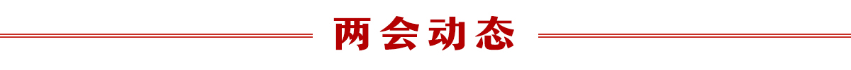 图片默认标题_fororder_两会动态