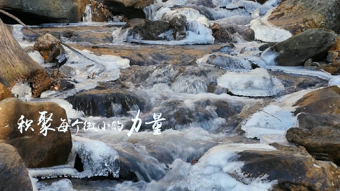 图片默认标题_fororder_2