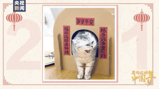 2021春节十大名场面
