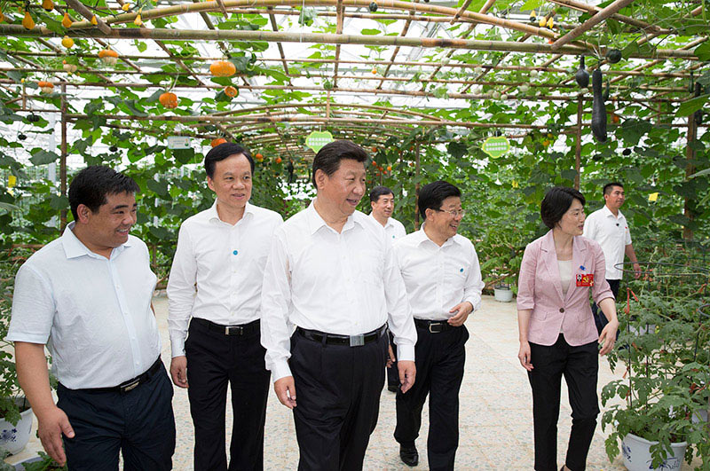 2015年习近平与群众在一起的亲密瞬间