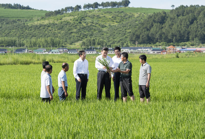 2015年习近平与群众在一起的亲密瞬间