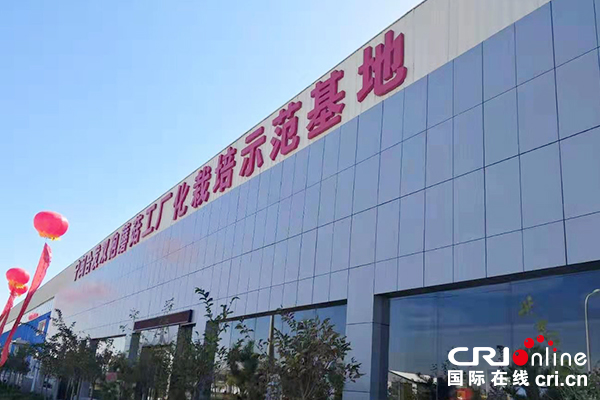 【原创待审】产业脱贫看永宁系列报道（五）：东西部扶贫协作的典型案例（焦点图）