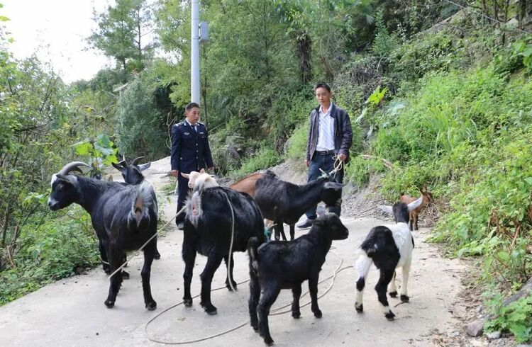 贵州山区渔民“退捕上岸”后的转产探索
