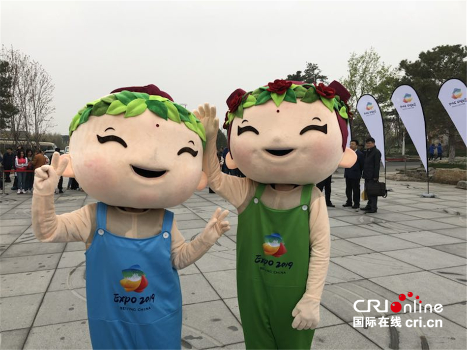 图片默认标题_fororder_7