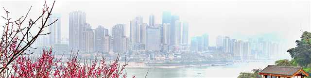 好花四季开 从春到冬赏不停