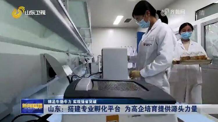 山东：搭建专业孵化平台 为高企培育提供源头力量