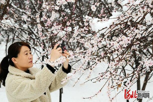 河北邯郸：喜降春雪