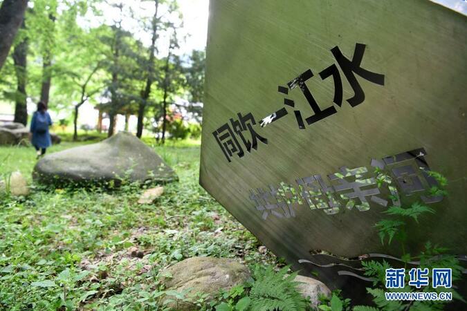 新安江流域：护一江清水，享“绿色红利”
