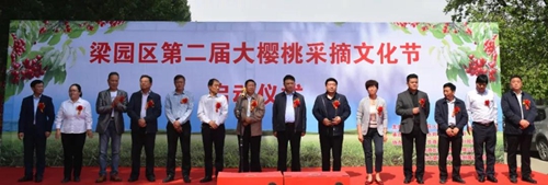 【河南供稿】商丘梁园区刘口镇第二届大樱桃采摘文化节开幕