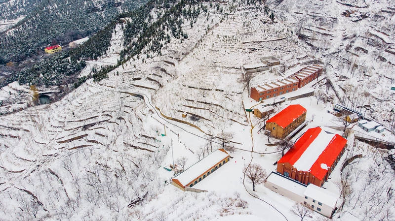 （有修改）【急稿】【客户供稿】正月十五雪打灯！袁洪峪·楸林雅筑上演绝美大片