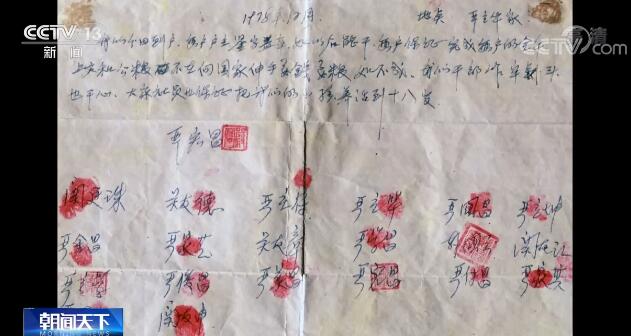 【奋斗百年路 启航新征程】家庭联产承包责任制 实现农村大发展
