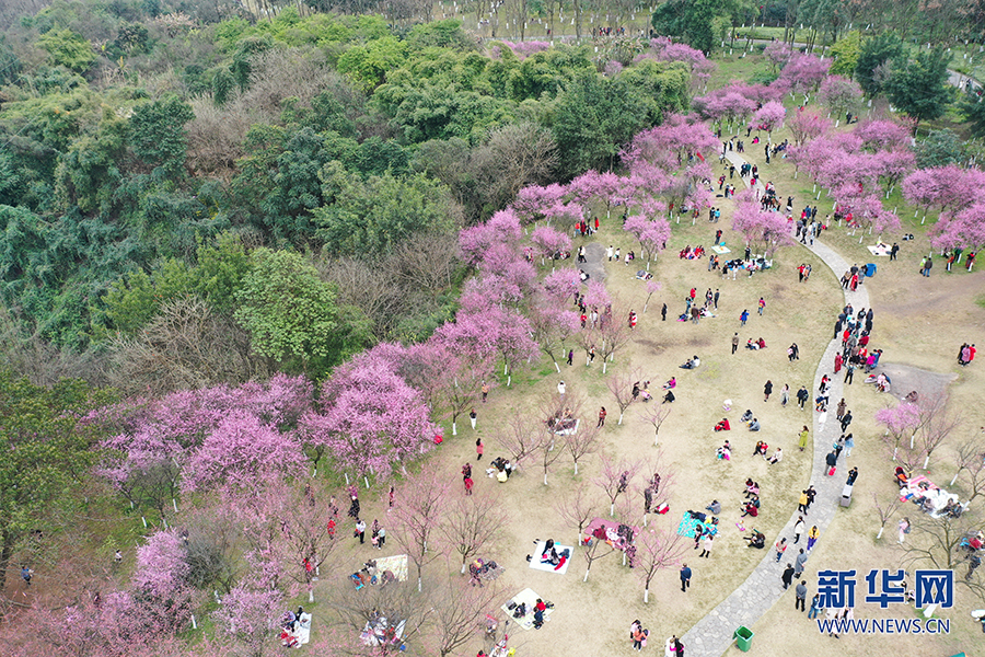 【城市远洋】重庆：春色盎然惹人醉 花影婆娑迎客来