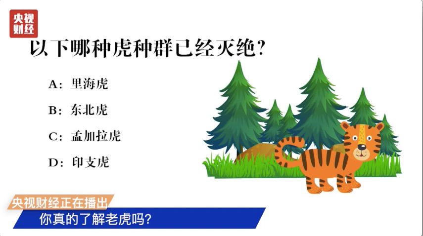 警惕！95%野生虎种群已消失！“森林之王”为何濒临灭绝？