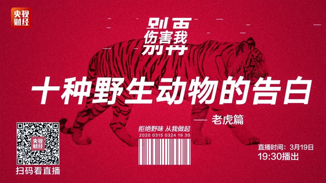 警惕！95%野生虎种群已消失！“森林之王”为何濒临灭绝？