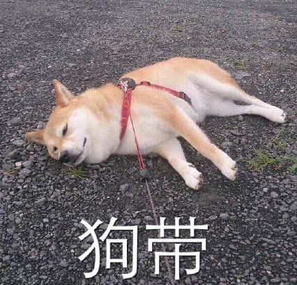 图片默认标题