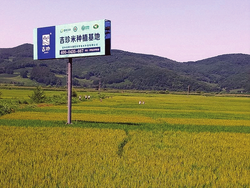 吉林省发展绿色生态农业：树品牌 讲质量 无公害