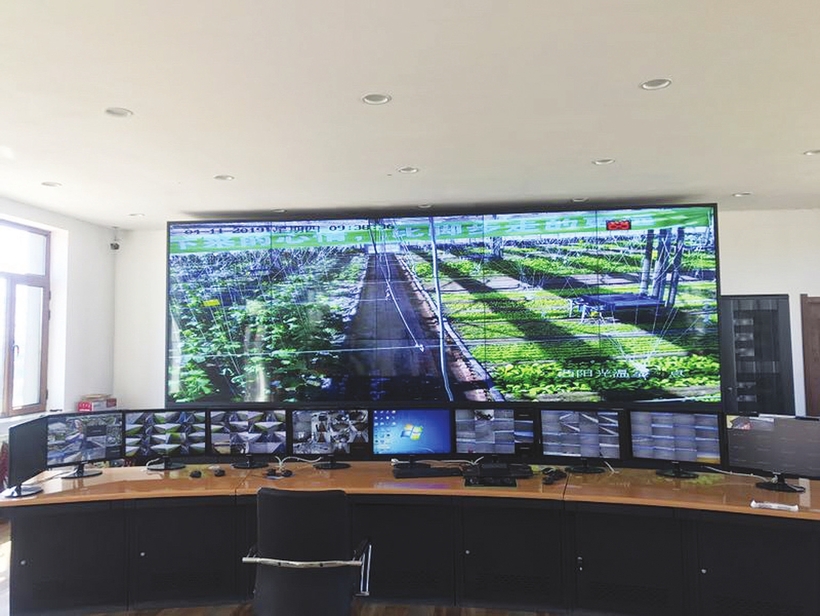 吉林省发展绿色生态农业：树品牌 讲质量 无公害