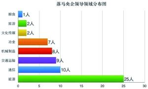 央企大体检六问题严重 能源领域占总人数达39%