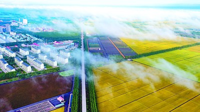 北大荒开发建设：铺展中国特色农业现代化之路