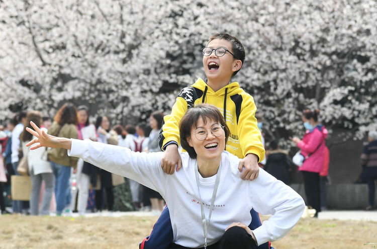 珞珈山的樱花之约：去年说再见，今春再相见！