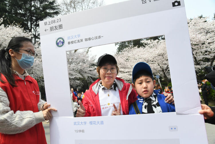 珞珈山的樱花之约：去年说再见，今春再相见！