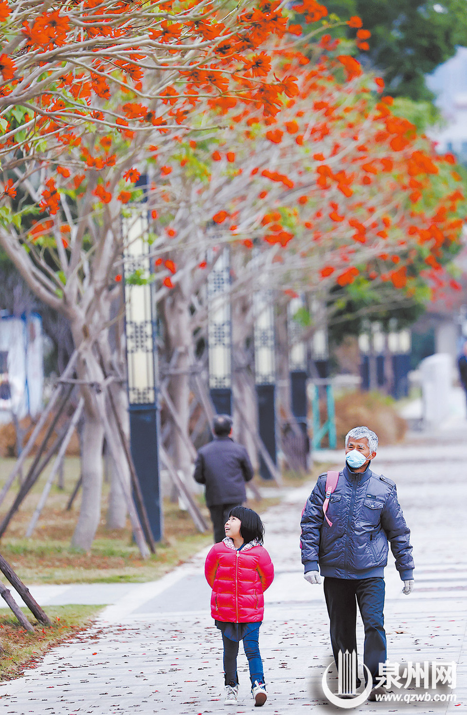 泉州：花开俏争春 寻芳正当时