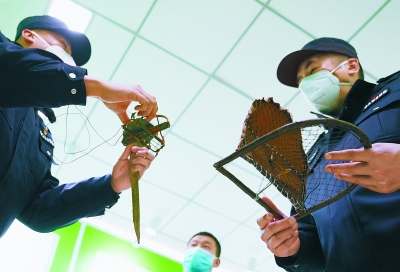 森林守护者