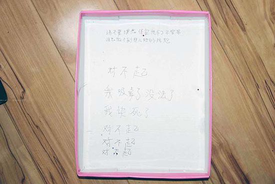 小偷窃19万元名包当假货扔掉