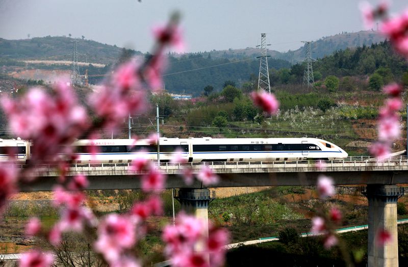繁花里的动车（组图）