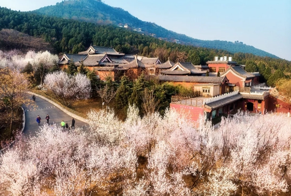 【原创】【客户稿件】【房产资讯】旭辉银盛泰·博观山悦 千佛山下瞰景洋房封卷钜献_fororder_图片 2