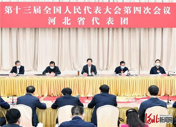 河北省代表团审议全国人大常委会工作报告和“两高”报告