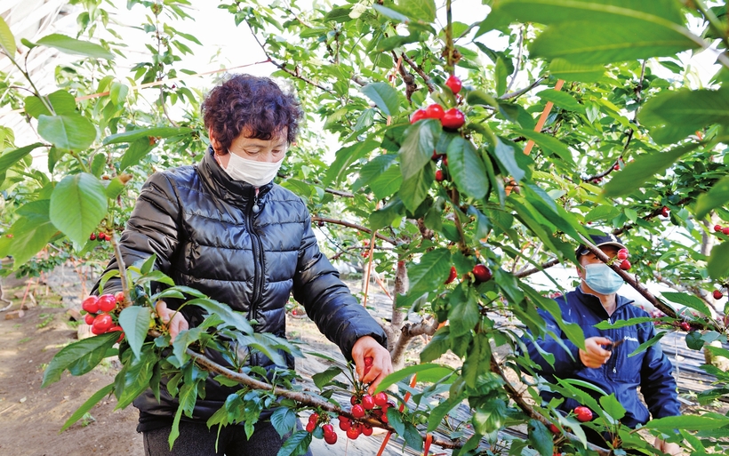 吹响总攻冲锋号——白山市决战脱贫攻坚纪实