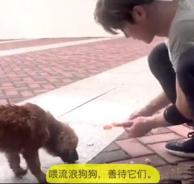 迪丽热巴择偶标准大汇总，满足条件的只有鹿晗一人
