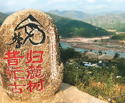 一片小茶叶 百亿大产业（中首）（园区）（财智推荐）