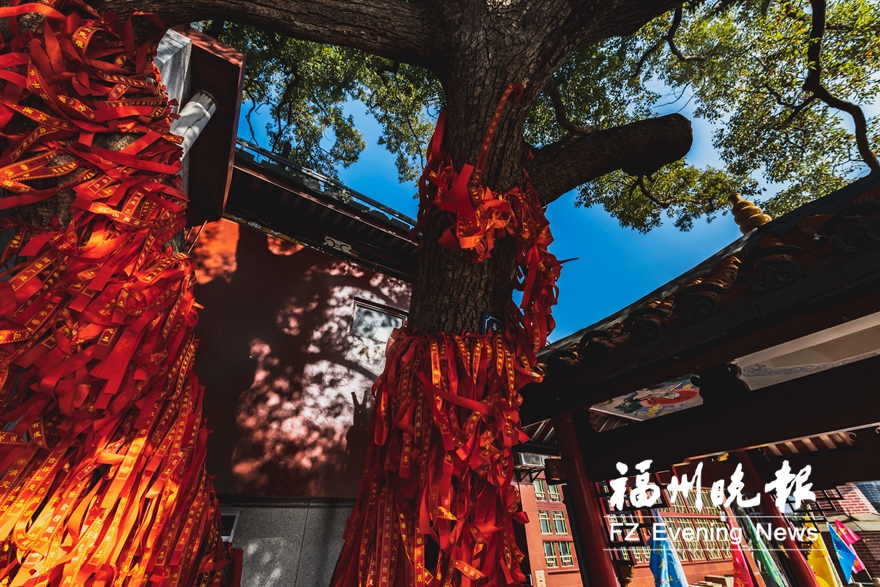 福州：“明艳”金山寺 数说“最风景”