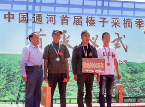 （急稿）【黑龙江】【原创】中国（通河）首届榛子采摘季首采仪式举行