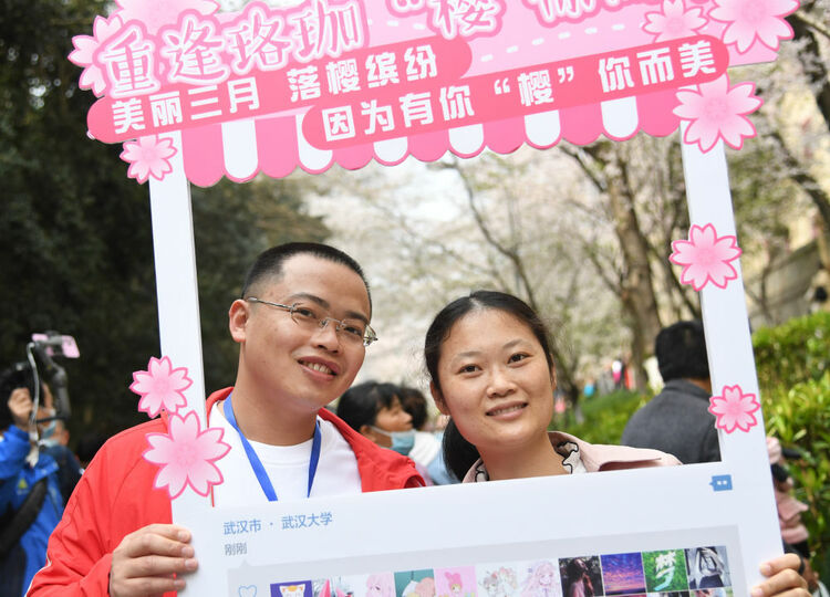 珞珈山的樱花之约：去年说再见，今春再相见！