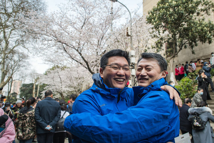 珞珈山的樱花之约：去年说再见，今春再相见！