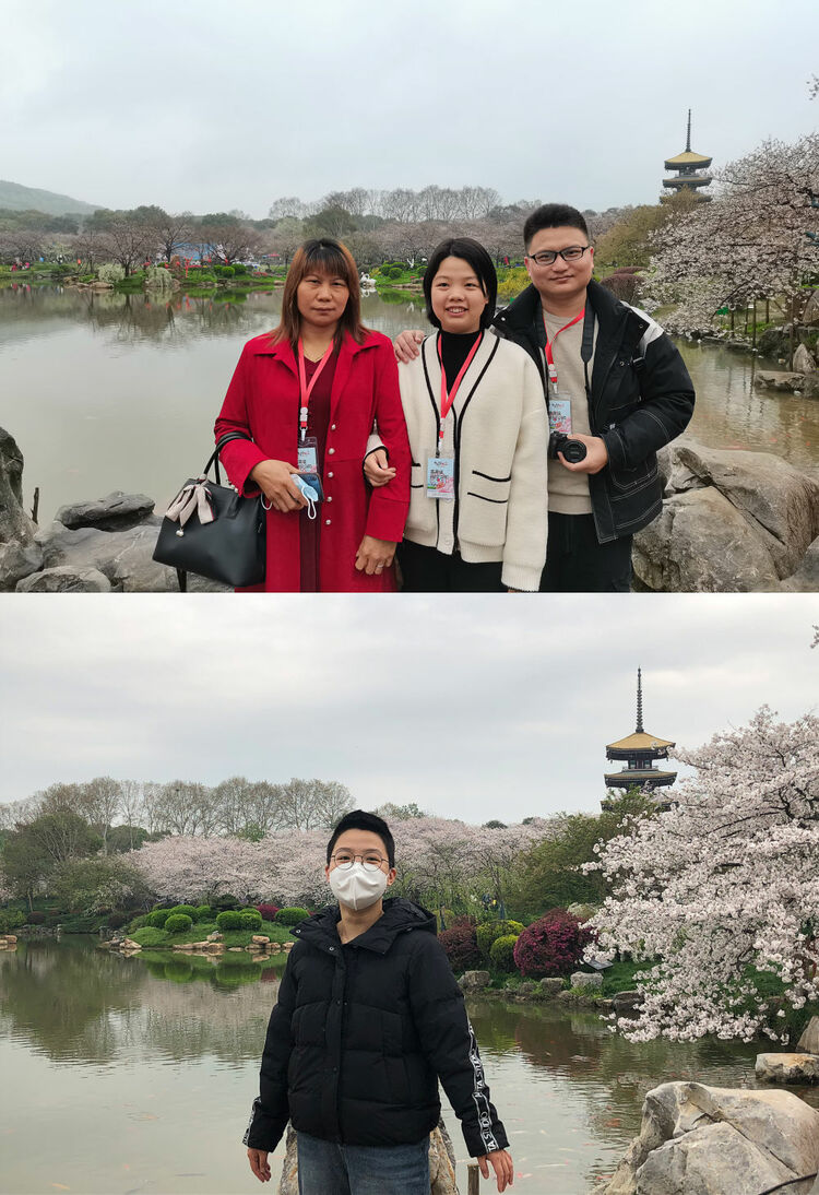珞珈山的樱花之约：去年说再见，今春再相见！