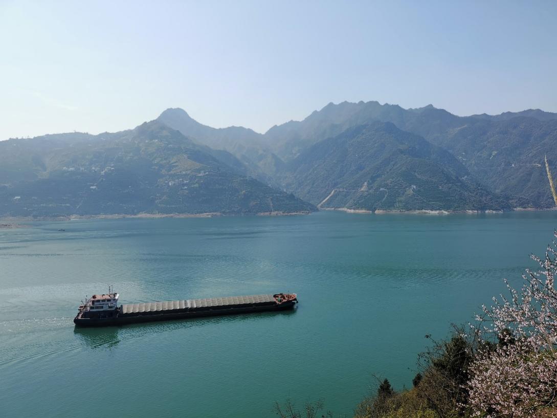 图片默认标题