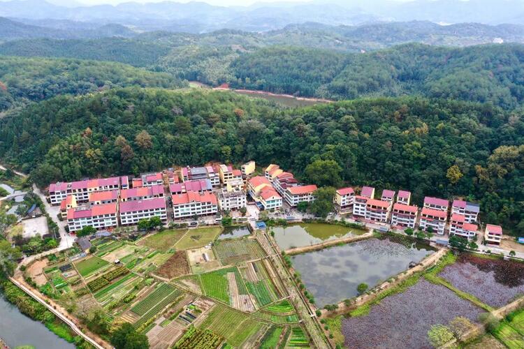 新华全媒+丨闽山闽水物华新——习近平总书记福建考察回访记