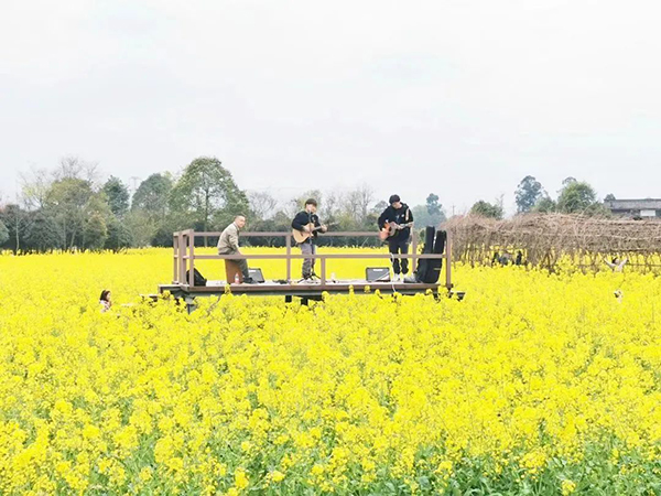 千亩花海地道美食 成都郫都区三道堰街道青杠树村油菜花节启幕_fororder_音乐表演-供图-郫都区委宣传部