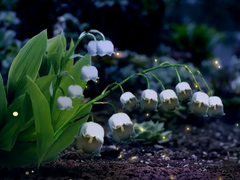 全球首发！动画版阿卡贝拉《植物总动员》_fororder_微信截图_20190506144921