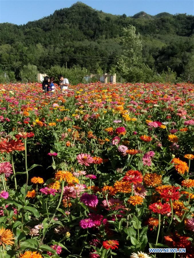 Scenery of Yanqing District in Beijing