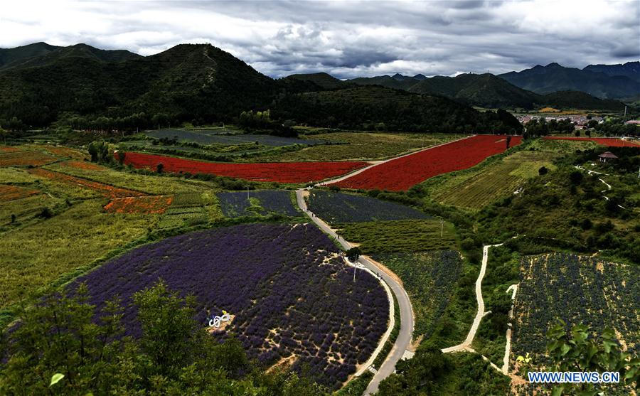 Scenery of Yanqing District in Beijing