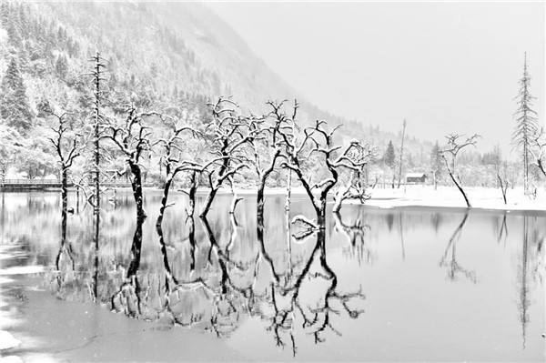 当四姑娘山遇上倒春寒——如梦如幻的水墨丹青_fororder_1、四姑娘山雪景-摄影-梅建文