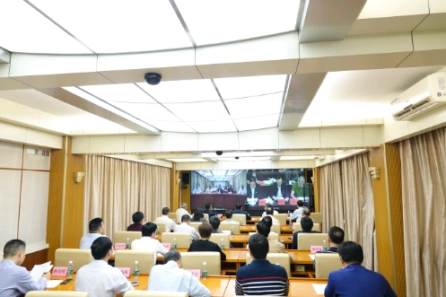 广东造林与生态修复171万亩 年度计划完成过半