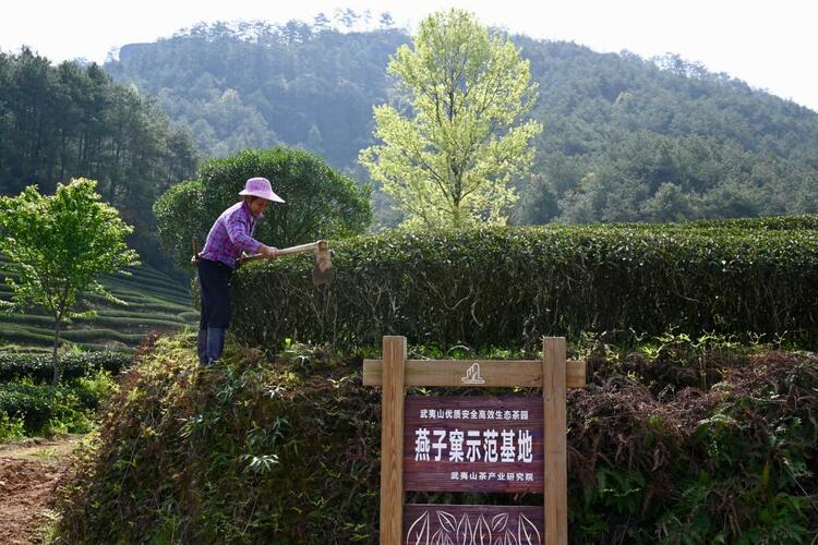 新华全媒+丨闽山闽水物华新——习近平总书记福建考察回访记